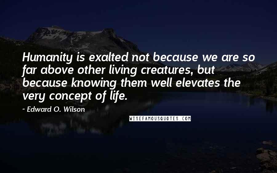 Edward O. Wilson Quotes: Humanity is exalted not because we are so far above other living creatures, but because knowing them well elevates the very concept of life.