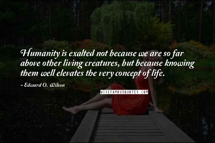 Edward O. Wilson Quotes: Humanity is exalted not because we are so far above other living creatures, but because knowing them well elevates the very concept of life.