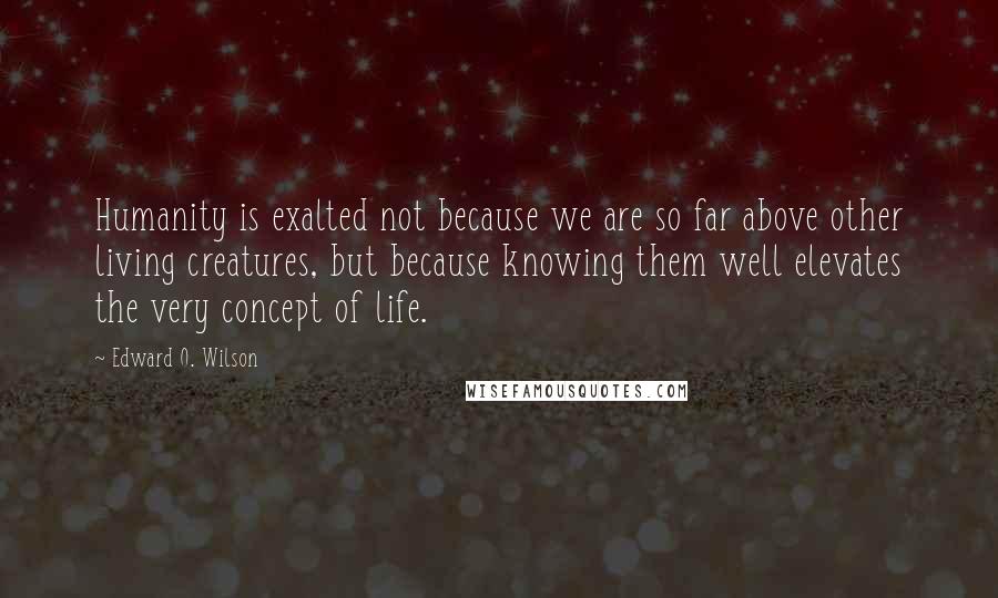 Edward O. Wilson Quotes: Humanity is exalted not because we are so far above other living creatures, but because knowing them well elevates the very concept of life.