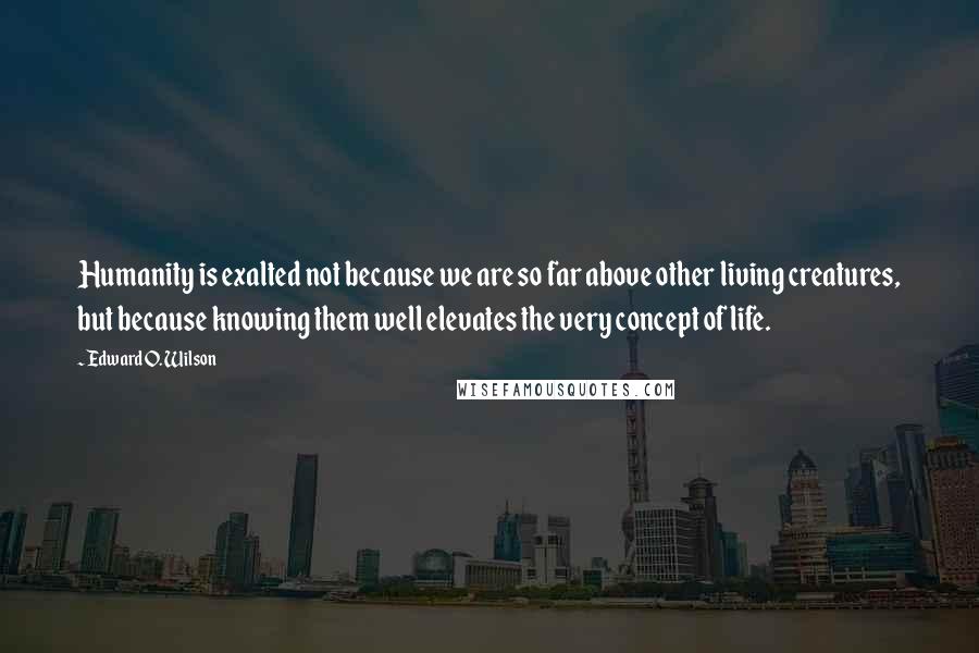 Edward O. Wilson Quotes: Humanity is exalted not because we are so far above other living creatures, but because knowing them well elevates the very concept of life.