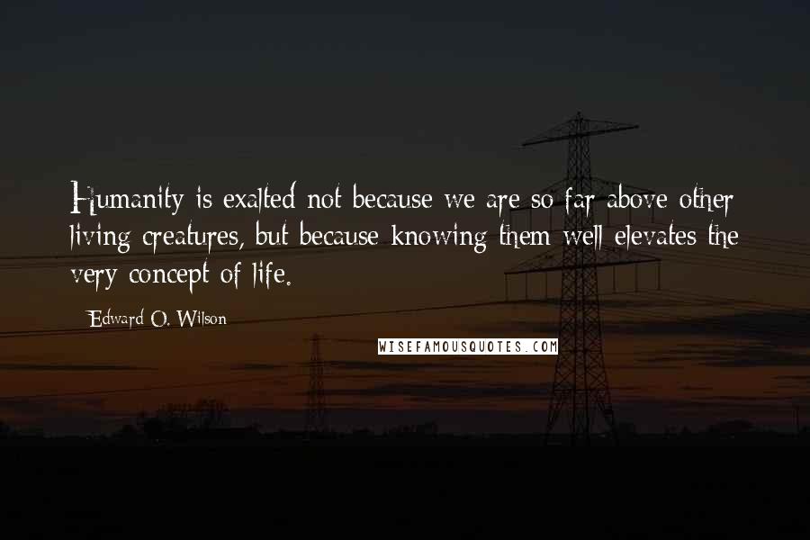 Edward O. Wilson Quotes: Humanity is exalted not because we are so far above other living creatures, but because knowing them well elevates the very concept of life.