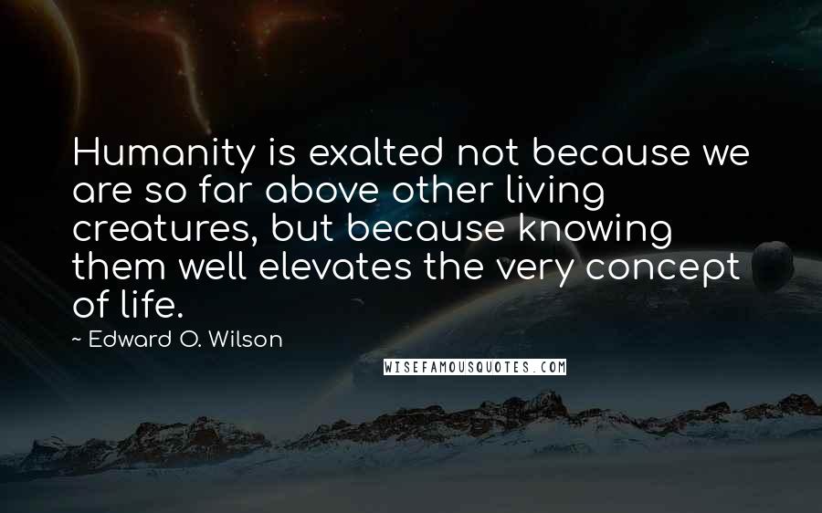 Edward O. Wilson Quotes: Humanity is exalted not because we are so far above other living creatures, but because knowing them well elevates the very concept of life.