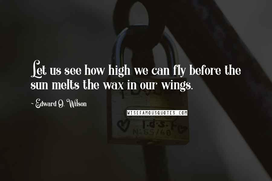 Edward O. Wilson Quotes: Let us see how high we can fly before the sun melts the wax in our wings.