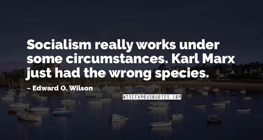 Edward O. Wilson Quotes: Socialism really works under some circumstances. Karl Marx just had the wrong species.