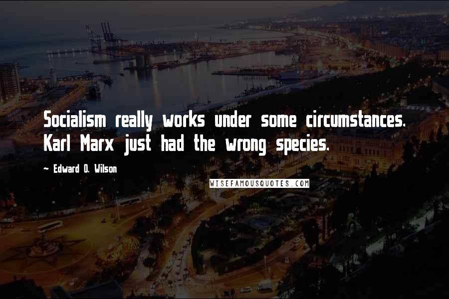 Edward O. Wilson Quotes: Socialism really works under some circumstances. Karl Marx just had the wrong species.