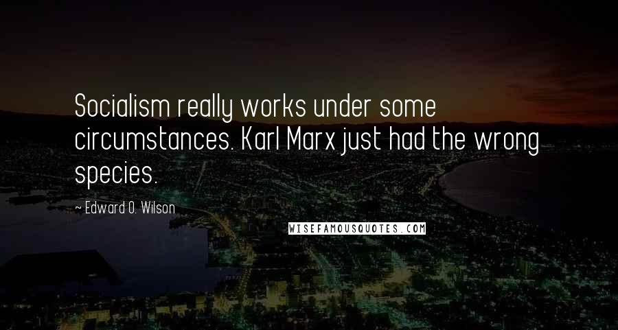 Edward O. Wilson Quotes: Socialism really works under some circumstances. Karl Marx just had the wrong species.