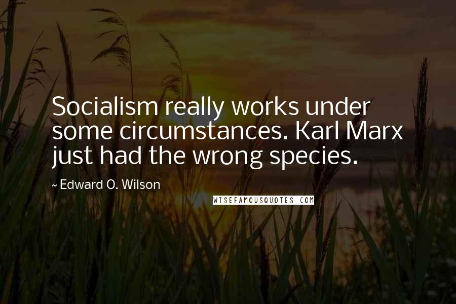 Edward O. Wilson Quotes: Socialism really works under some circumstances. Karl Marx just had the wrong species.