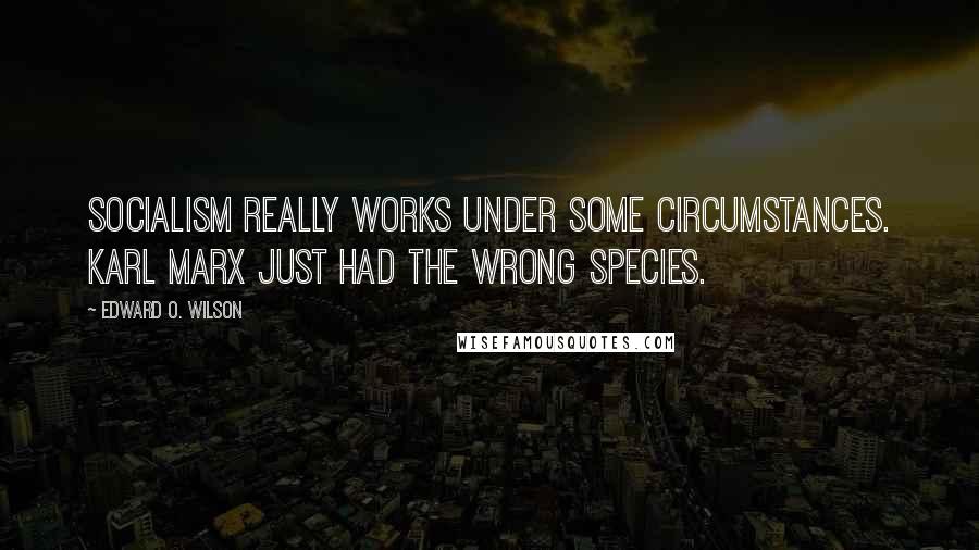 Edward O. Wilson Quotes: Socialism really works under some circumstances. Karl Marx just had the wrong species.