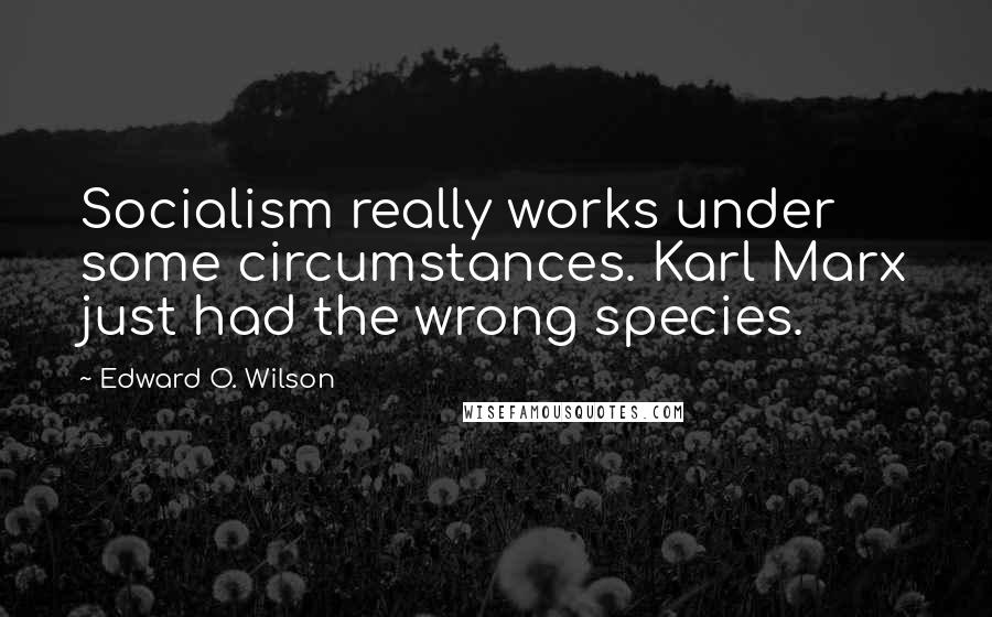 Edward O. Wilson Quotes: Socialism really works under some circumstances. Karl Marx just had the wrong species.