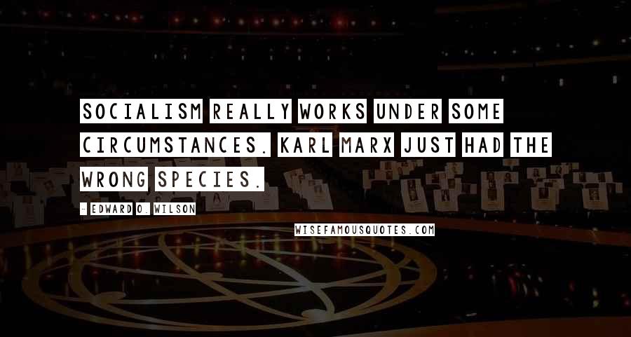 Edward O. Wilson Quotes: Socialism really works under some circumstances. Karl Marx just had the wrong species.
