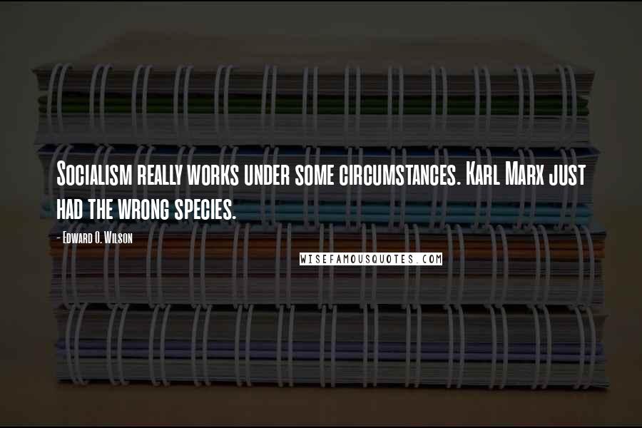 Edward O. Wilson Quotes: Socialism really works under some circumstances. Karl Marx just had the wrong species.