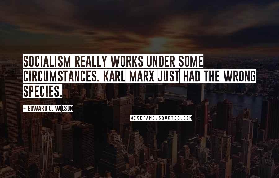 Edward O. Wilson Quotes: Socialism really works under some circumstances. Karl Marx just had the wrong species.