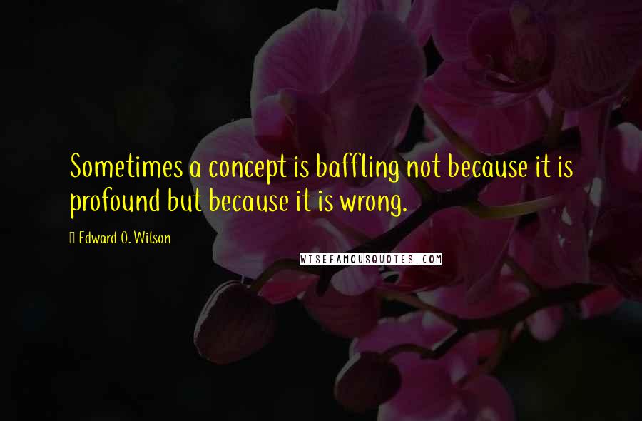 Edward O. Wilson Quotes: Sometimes a concept is baffling not because it is profound but because it is wrong.