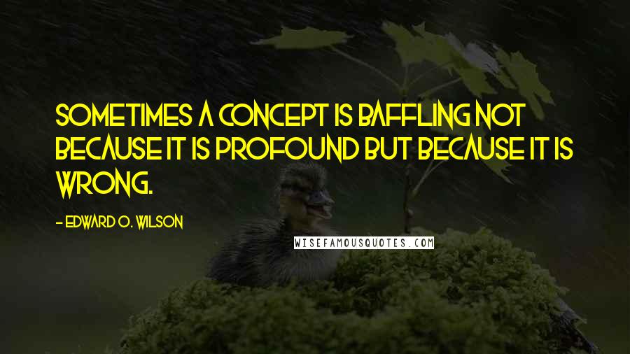 Edward O. Wilson Quotes: Sometimes a concept is baffling not because it is profound but because it is wrong.