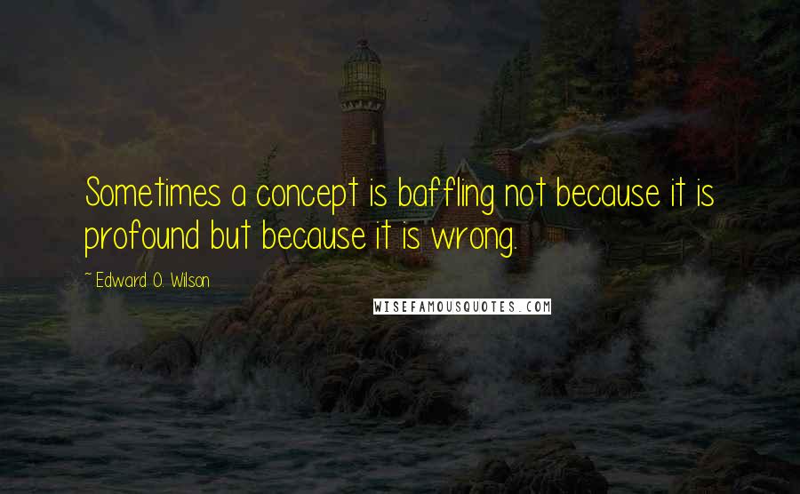 Edward O. Wilson Quotes: Sometimes a concept is baffling not because it is profound but because it is wrong.