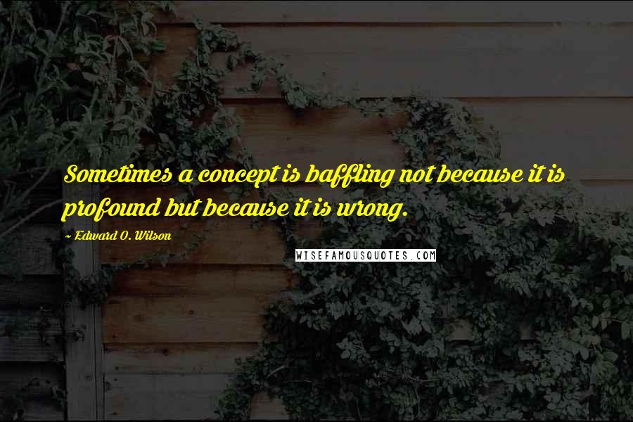 Edward O. Wilson Quotes: Sometimes a concept is baffling not because it is profound but because it is wrong.