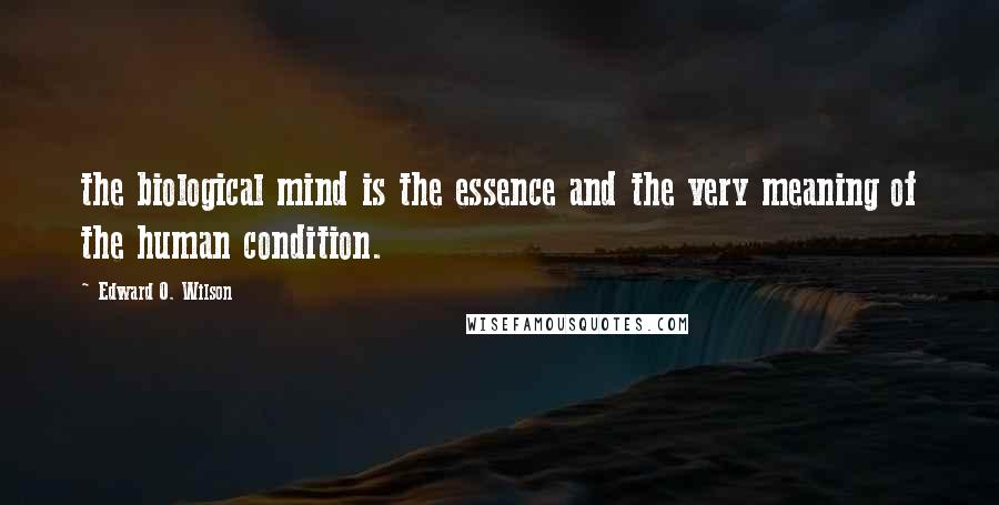 Edward O. Wilson Quotes: the biological mind is the essence and the very meaning of the human condition.