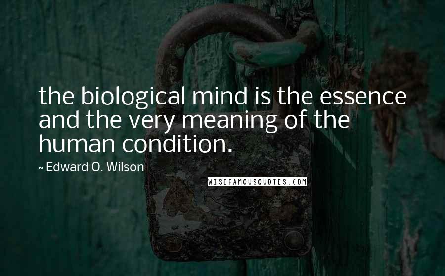 Edward O. Wilson Quotes: the biological mind is the essence and the very meaning of the human condition.