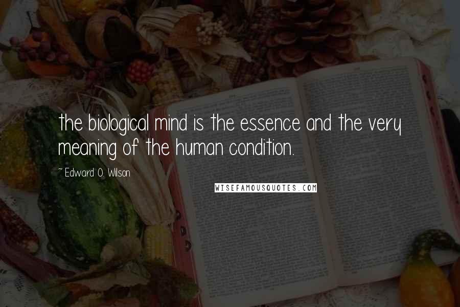 Edward O. Wilson Quotes: the biological mind is the essence and the very meaning of the human condition.