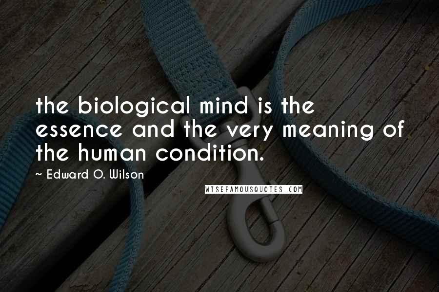 Edward O. Wilson Quotes: the biological mind is the essence and the very meaning of the human condition.