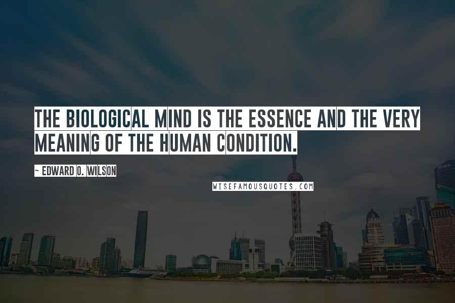 Edward O. Wilson Quotes: the biological mind is the essence and the very meaning of the human condition.
