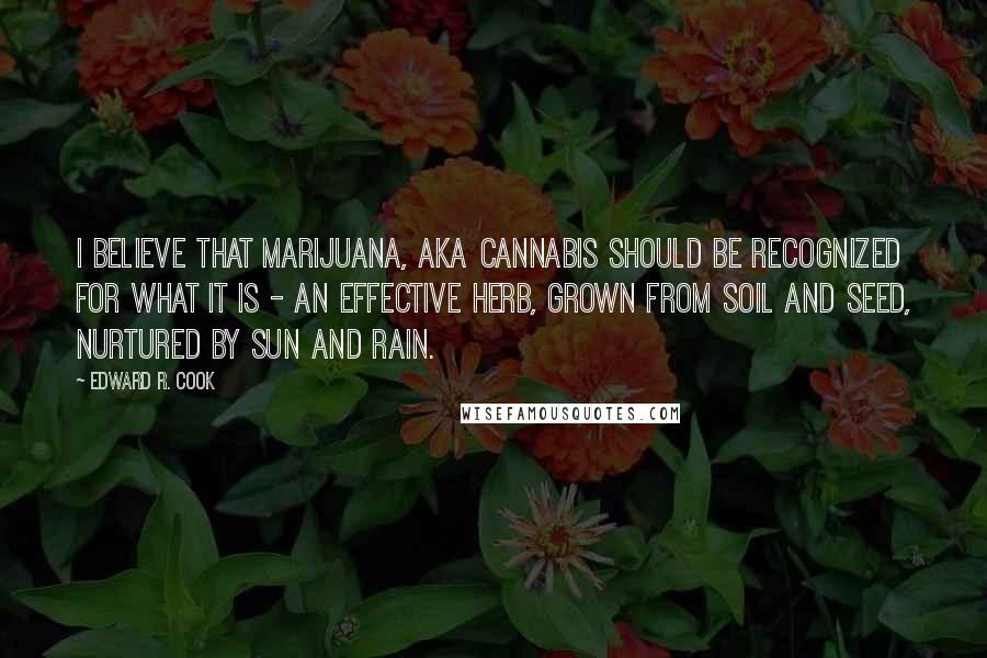 Edward R. Cook Quotes: I believe that marijuana, aka cannabis should be recognized for what it is - an effective herb, grown from soil and seed, nurtured by sun and rain.