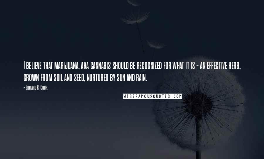 Edward R. Cook Quotes: I believe that marijuana, aka cannabis should be recognized for what it is - an effective herb, grown from soil and seed, nurtured by sun and rain.