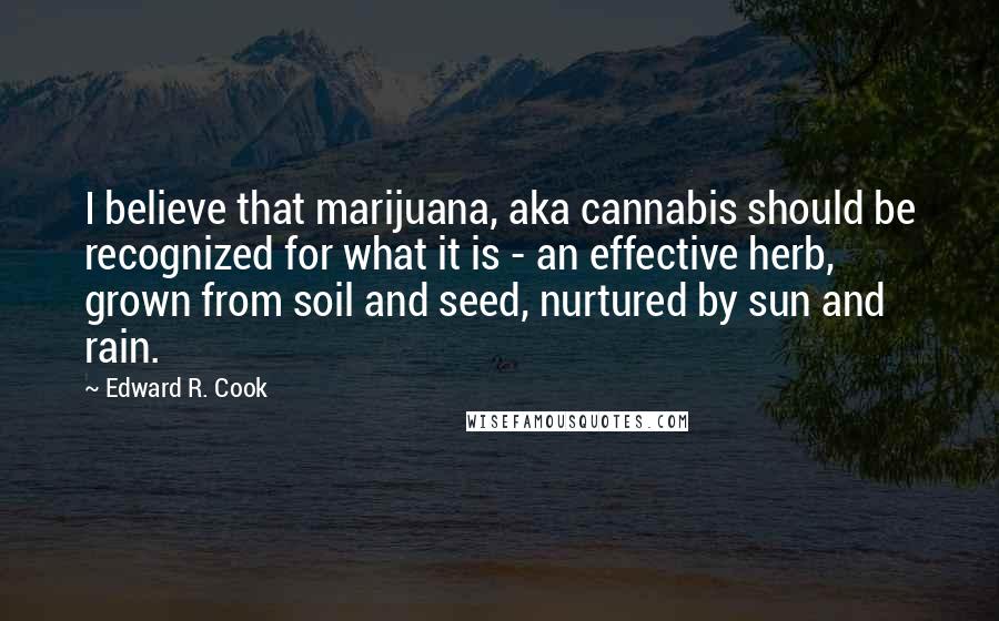 Edward R. Cook Quotes: I believe that marijuana, aka cannabis should be recognized for what it is - an effective herb, grown from soil and seed, nurtured by sun and rain.