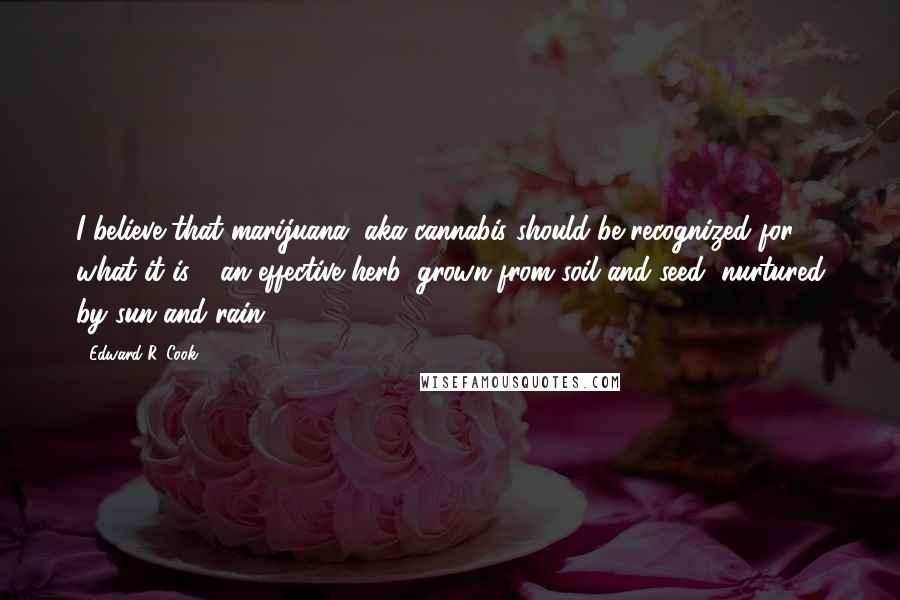 Edward R. Cook Quotes: I believe that marijuana, aka cannabis should be recognized for what it is - an effective herb, grown from soil and seed, nurtured by sun and rain.