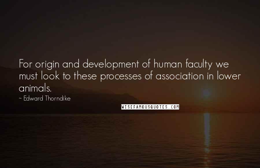 Edward Thorndike Quotes: For origin and development of human faculty we must look to these processes of association in lower animals.