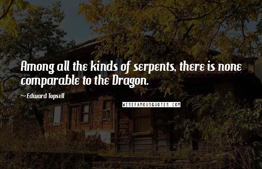 Edward Topsell Quotes: Among all the kinds of serpents, there is none comparable to the Dragon.