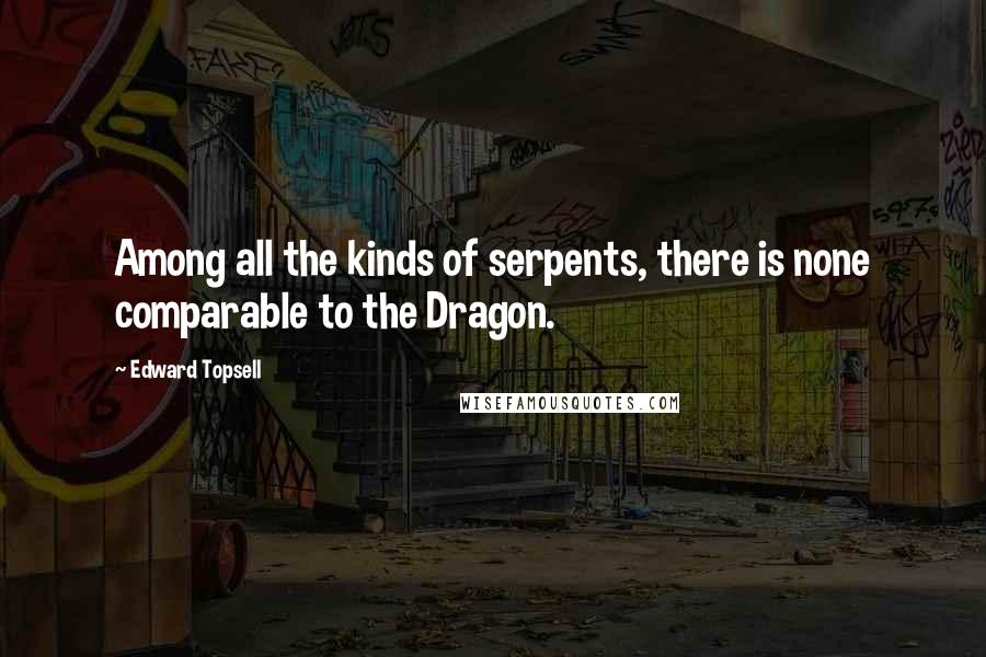 Edward Topsell Quotes: Among all the kinds of serpents, there is none comparable to the Dragon.
