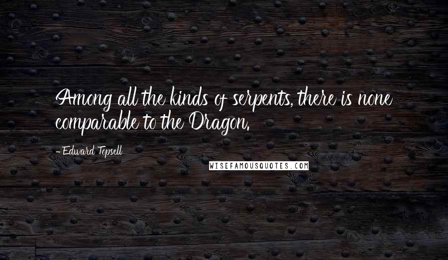 Edward Topsell Quotes: Among all the kinds of serpents, there is none comparable to the Dragon.