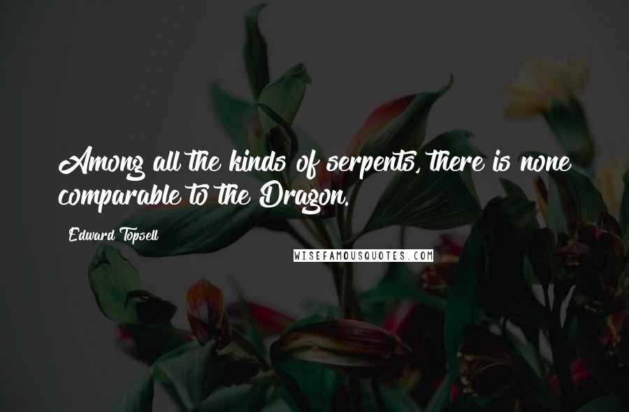 Edward Topsell Quotes: Among all the kinds of serpents, there is none comparable to the Dragon.