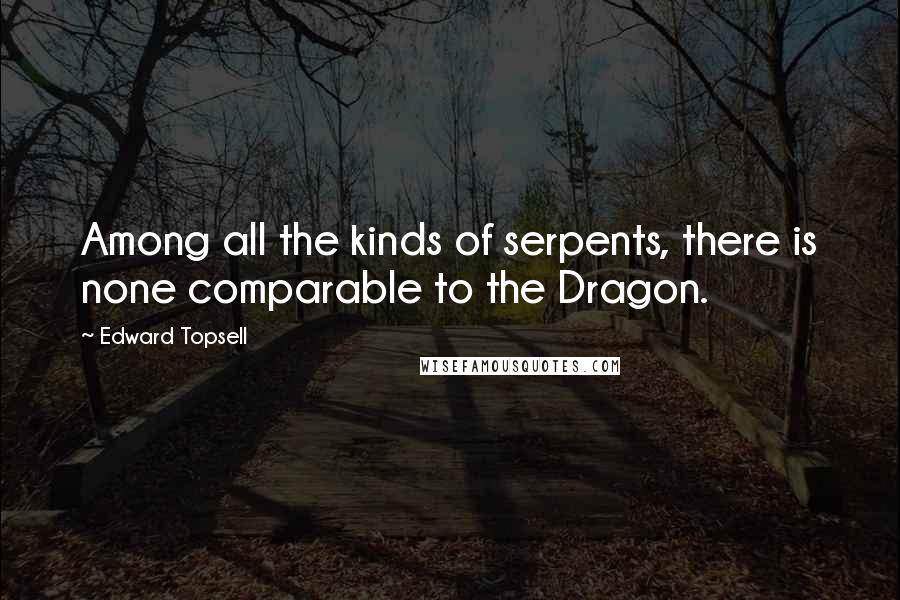 Edward Topsell Quotes: Among all the kinds of serpents, there is none comparable to the Dragon.