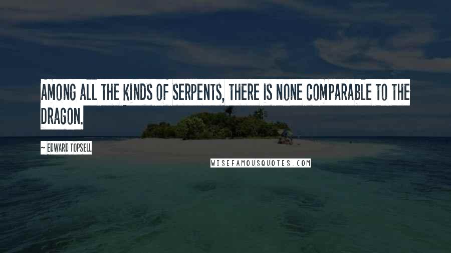 Edward Topsell Quotes: Among all the kinds of serpents, there is none comparable to the Dragon.