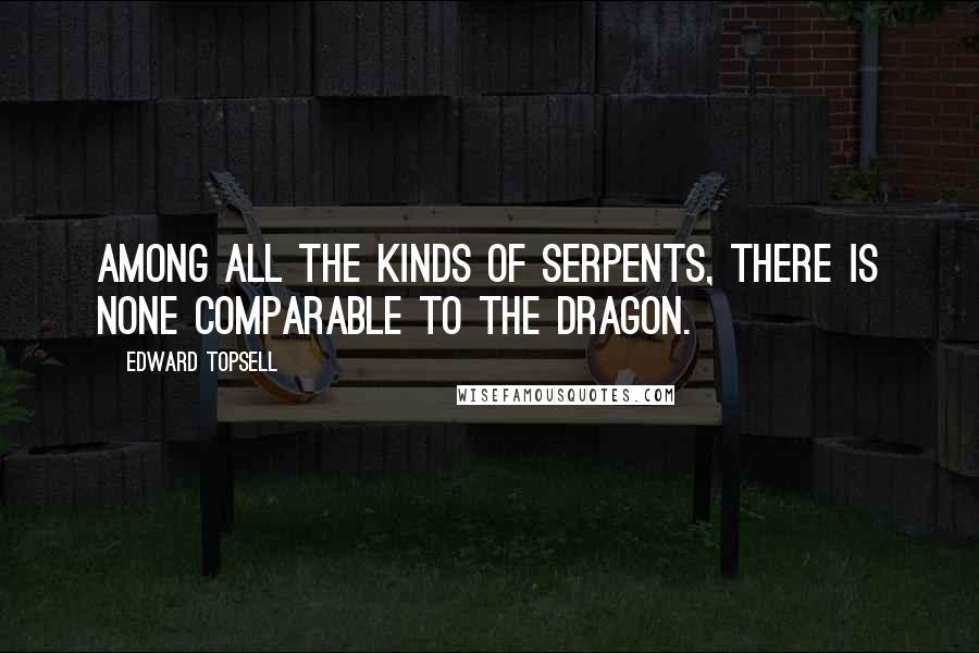 Edward Topsell Quotes: Among all the kinds of serpents, there is none comparable to the Dragon.