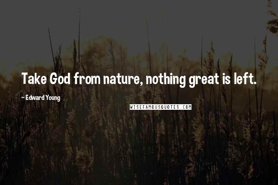 Edward Young Quotes: Take God from nature, nothing great is left.