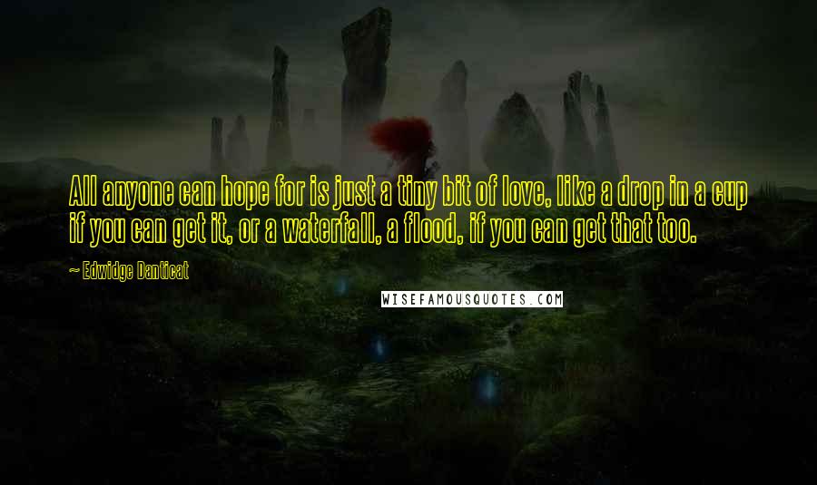 Edwidge Danticat Quotes: All anyone can hope for is just a tiny bit of love, like a drop in a cup if you can get it, or a waterfall, a flood, if you can get that too.