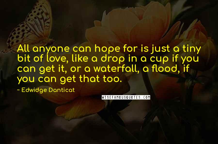 Edwidge Danticat Quotes: All anyone can hope for is just a tiny bit of love, like a drop in a cup if you can get it, or a waterfall, a flood, if you can get that too.