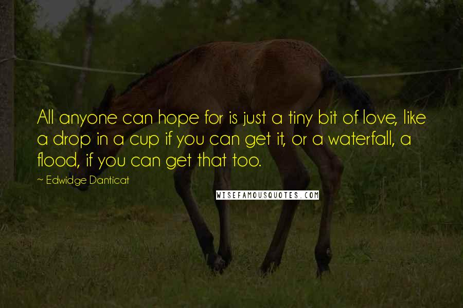 Edwidge Danticat Quotes: All anyone can hope for is just a tiny bit of love, like a drop in a cup if you can get it, or a waterfall, a flood, if you can get that too.