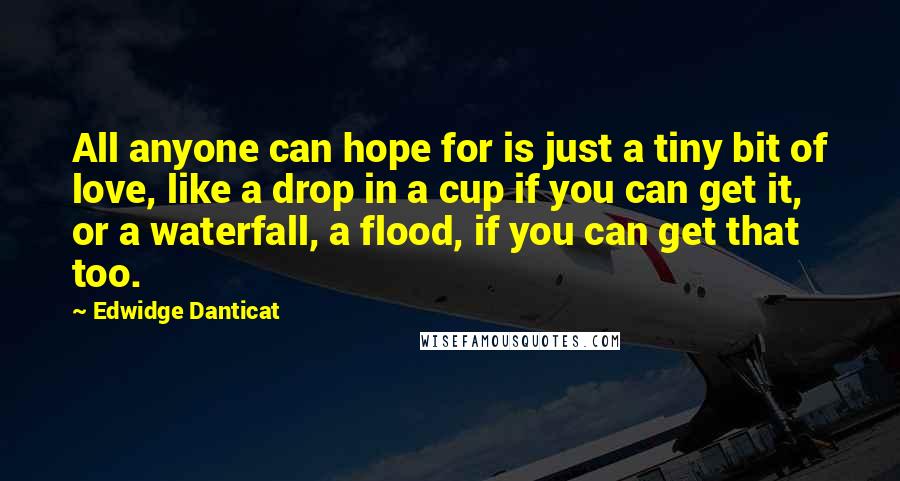 Edwidge Danticat Quotes: All anyone can hope for is just a tiny bit of love, like a drop in a cup if you can get it, or a waterfall, a flood, if you can get that too.