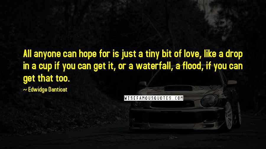 Edwidge Danticat Quotes: All anyone can hope for is just a tiny bit of love, like a drop in a cup if you can get it, or a waterfall, a flood, if you can get that too.