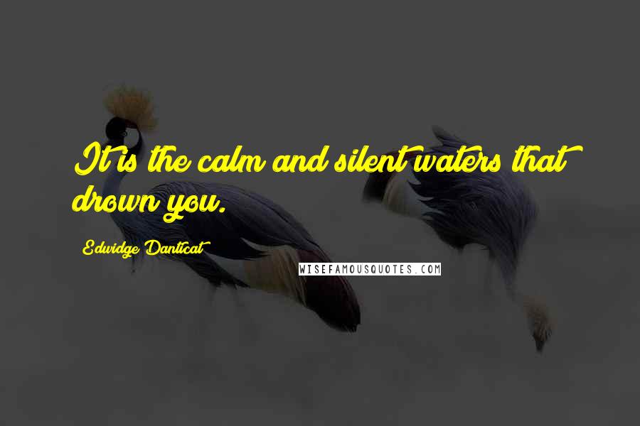 Edwidge Danticat Quotes: It is the calm and silent waters that drown you.