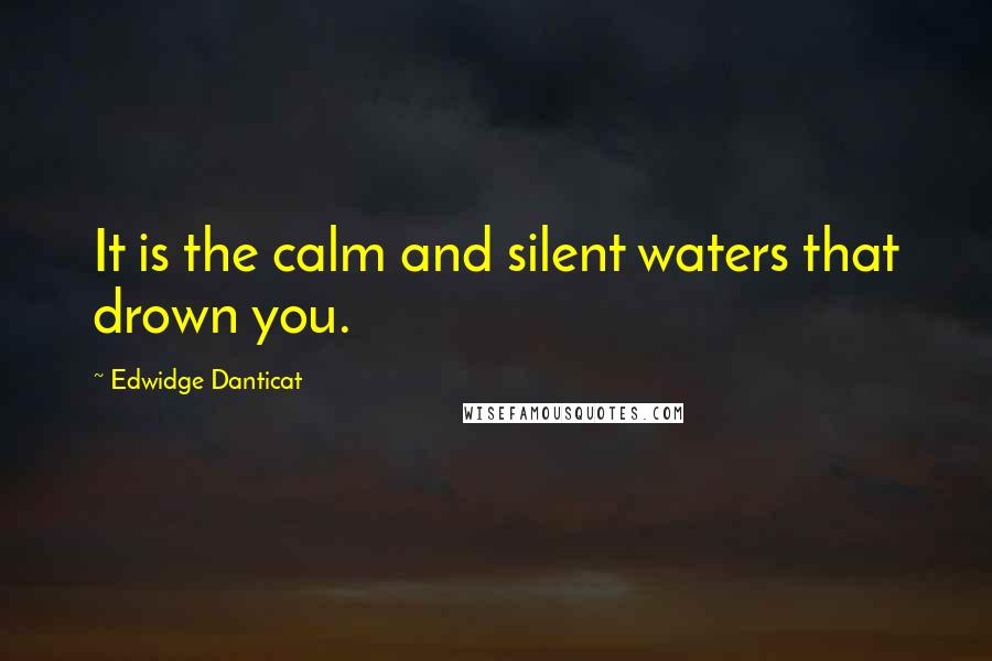 Edwidge Danticat Quotes: It is the calm and silent waters that drown you.