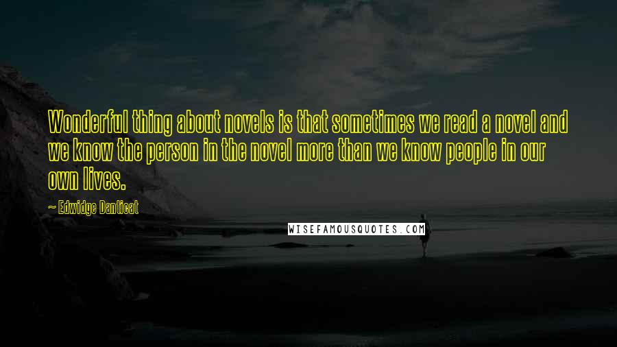 Edwidge Danticat Quotes: Wonderful thing about novels is that sometimes we read a novel and we know the person in the novel more than we know people in our own lives.