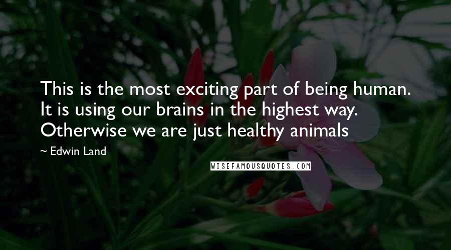 Edwin Land Quotes: This is the most exciting part of being human. It is using our brains in the highest way. Otherwise we are just healthy animals