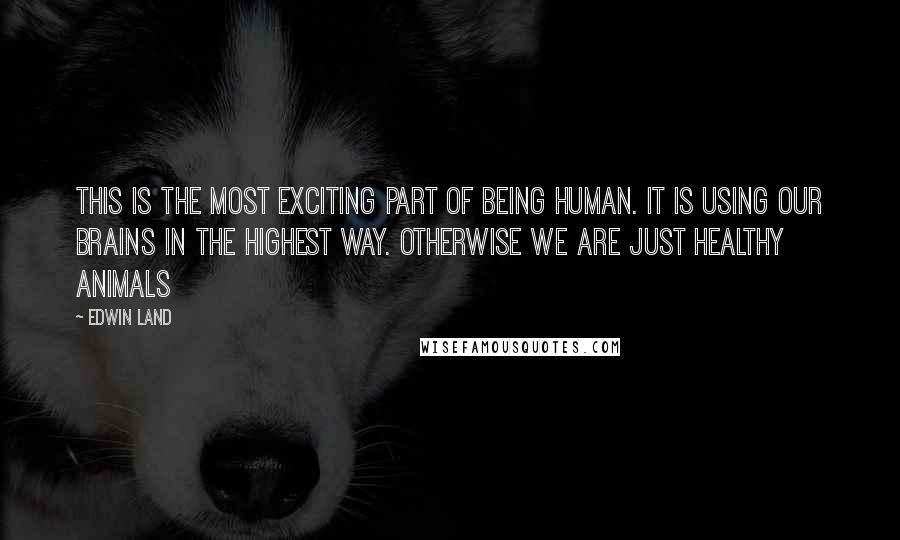 Edwin Land Quotes: This is the most exciting part of being human. It is using our brains in the highest way. Otherwise we are just healthy animals