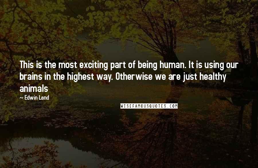 Edwin Land Quotes: This is the most exciting part of being human. It is using our brains in the highest way. Otherwise we are just healthy animals