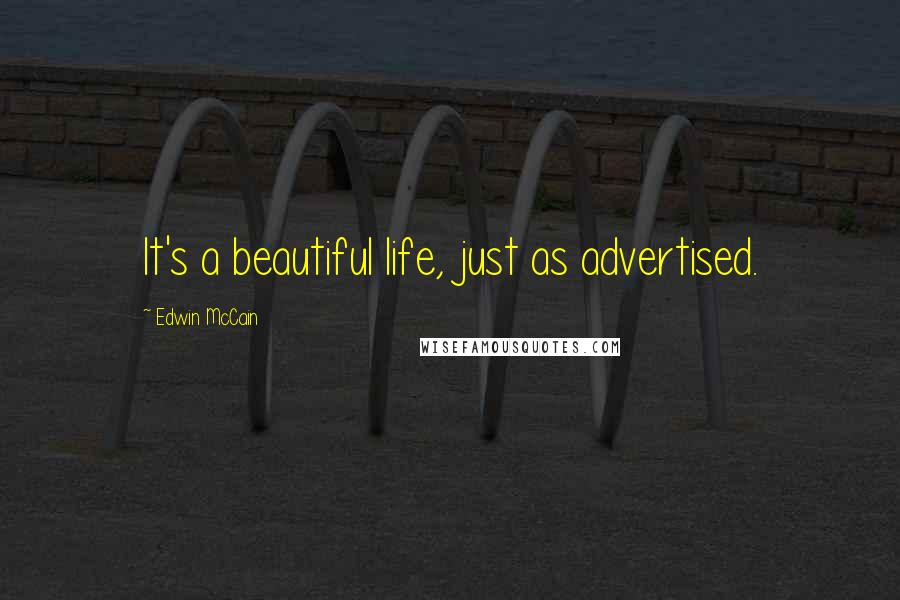 Edwin McCain Quotes: It's a beautiful life, just as advertised.